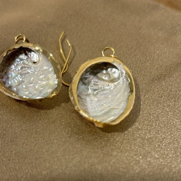 Elegant Gold Abalone Shell Earrings - Picture 3 of 6